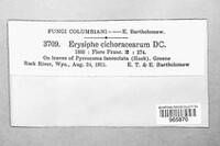 Image Associated With the Occurence